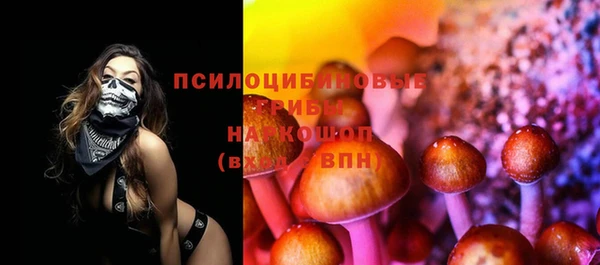крисы Волоколамск