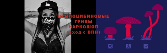 крисы Волоколамск