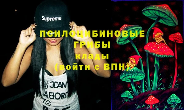 тгк Волосово