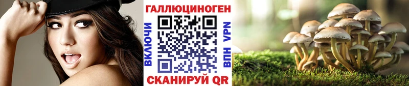 Галлюциногенные грибы Psilocybine cubensis  продажа наркотиков  Рубцовск 